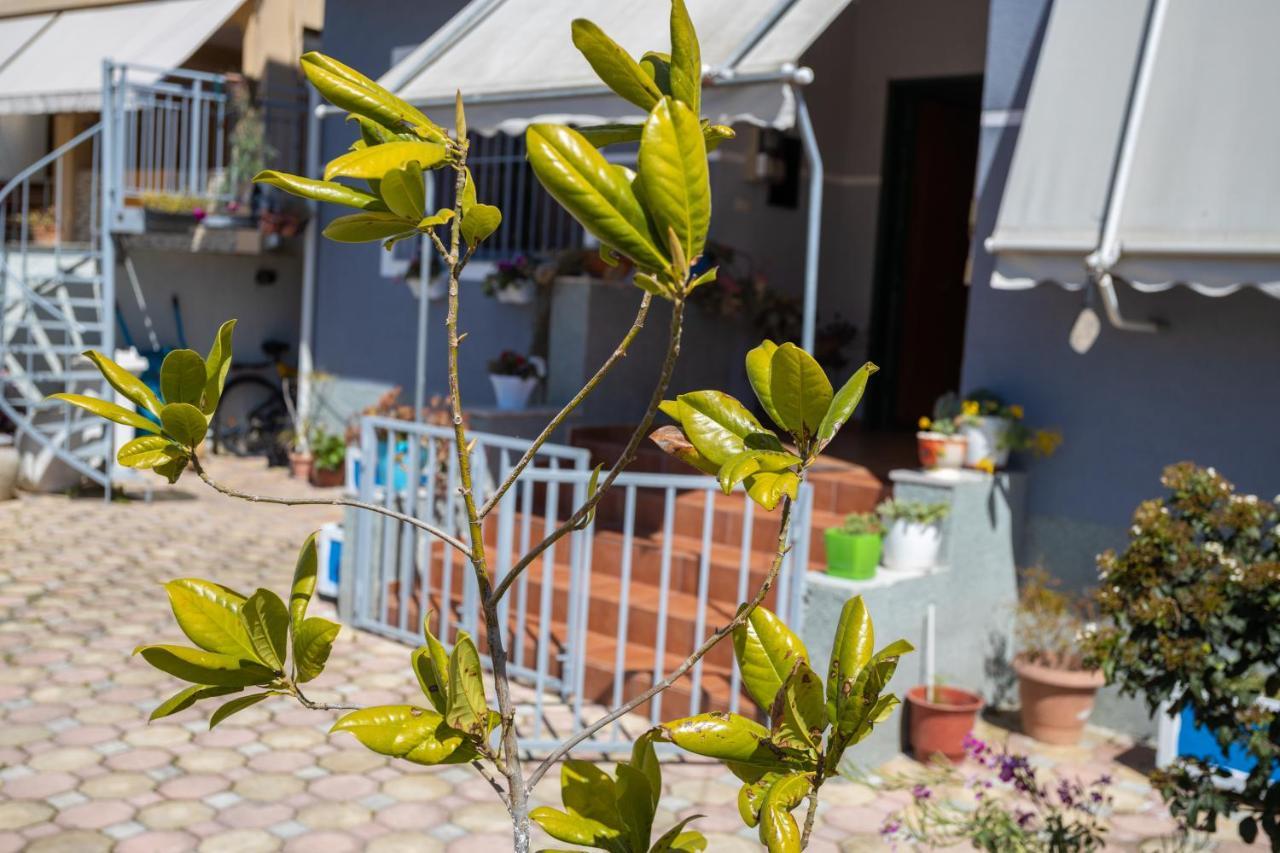 Vila Aulona Vlorë Eksteriør bilde